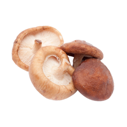 Shiitake Mushrooms - 3 lb Case