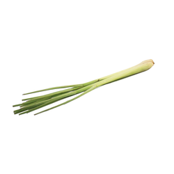 Lemongrass - LB