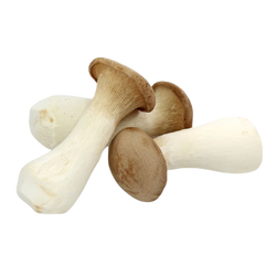 King Oyster Mushrooms - LB