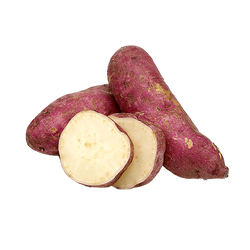 Japanese Sweet Potato - LB
