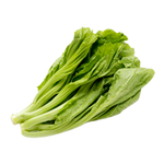 Baby Mustard Green - LB