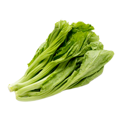Baby Mustard Green - LB